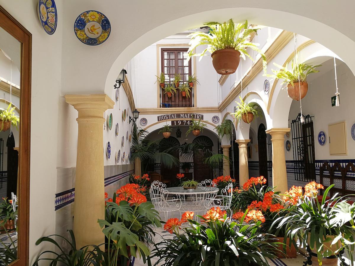 Maestre * Córdoba